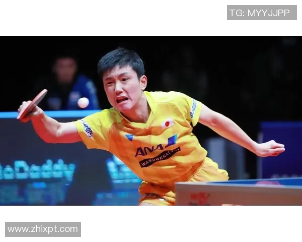 成都羽毛球队转型之路揭秘:从传统强队到现代化竞技新标杆 成都羽毛球队转型之路揭秘:从传统强队到现代化竞技新标杆