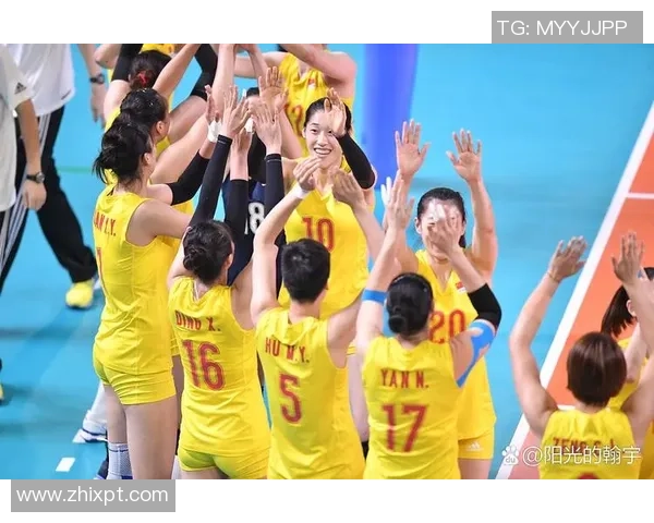 杭州排球队荣登全国排球团队协作排行榜首位展现卓越团队精神与实力