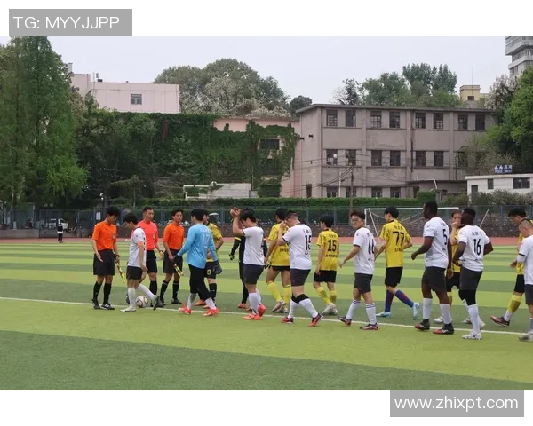 深度对话杨强探讨足球人生的起伏与梦想追寻