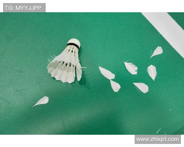 羽毛球新手攻略:个人能力入门指南_1