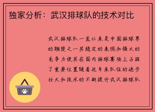 独家分析：武汉排球队的技术对比
