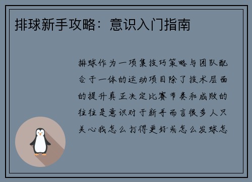 排球新手攻略：意识入门指南