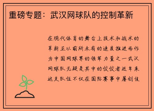 重磅专题：武汉网球队的控制革新