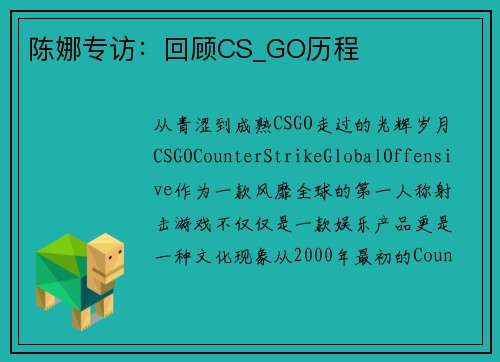 陈娜专访：回顾CS_GO历程